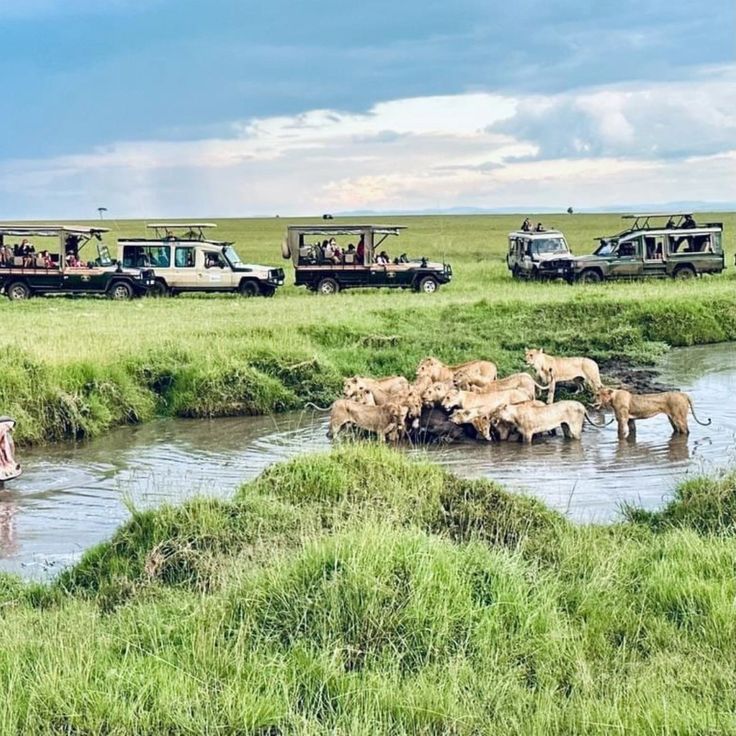 Ruaha